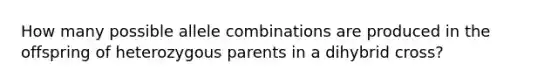 How many possible allele combinations are produced in the offspring of heterozygous parents in a dihybrid cross?