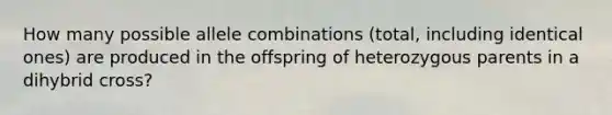 How many possible allele combinations (total, including identical ones) are produced in the offspring of heterozygous parents in a dihybrid cross?