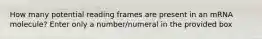 How many potential reading frames are present in an mRNA molecule? Enter only a number/numeral in the provided box