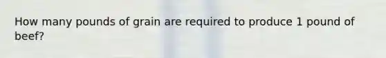 How many pounds of grain are required to produce 1 pound of beef?