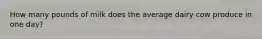 How many pounds of milk does the average dairy cow produce in one day?