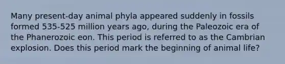 Many present-day animal phyla appeared suddenly in fossils formed 535-525 million years ago, during the Paleozoic era of the Phanerozoic eon. This period is referred to as the Cambrian explosion. Does this period mark the beginning of animal life?