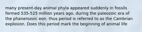 many present-day animal phyla appeared suddenly in fossils formed 535-525 million years ago, during the paleozoic era of the phanerozoic eon. thus period is referred to as the Cambrian explosion. Does this period mark the beginning of animal life