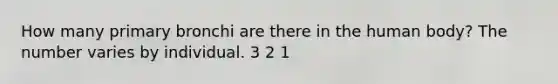 How many primary bronchi are there in the human body? The number varies by individual. 3 2 1