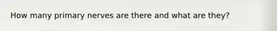 How many primary nerves are there and what are they?