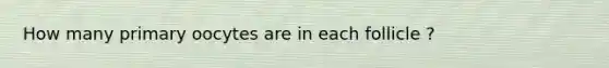 How many primary oocytes are in each follicle ?