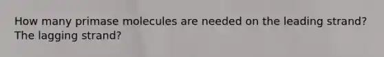 How many primase molecules are needed on the leading strand? The lagging strand?