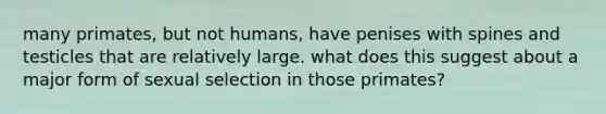 many primates, but not humans, have penises with spines and testicles that are relatively large. what does this suggest about a major form of sexual selection in those primates?