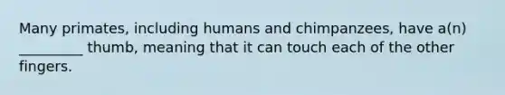 Many primates, including humans and chimpanzees, have a(n) _________ thumb, meaning that it can touch each of the other fingers.