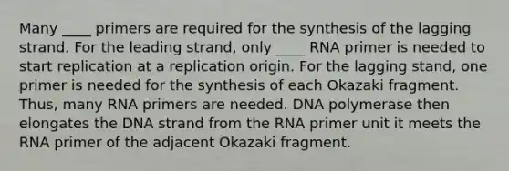 Many ____ primers are required for the synthesis of the lagging strand. For the leading strand, only ____ RNA primer is needed to start replication at a replication origin. For the lagging stand, one primer is needed for the synthesis of each Okazaki fragment. Thus, many RNA primers are needed. DNA polymerase then elongates the DNA strand from the RNA primer unit it meets the RNA primer of the adjacent Okazaki fragment.