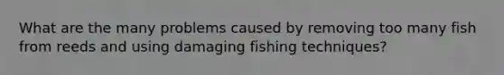 What are the many problems caused by removing too many fish from reeds and using damaging fishing techniques?