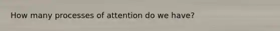 How many processes of attention do we have?