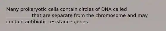 Many prokaryotic cells contain circles of DNA called ___________that are separate from the chromosome and may contain antibiotic resistance genes.