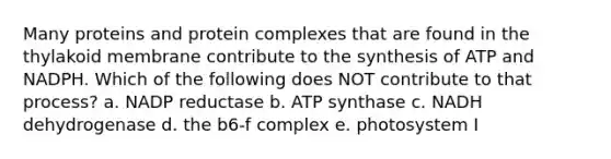 Many proteins and protein complexes that are found in the thylakoid membrane contribute to the synthesis of ATP and NADPH. Which of the following does NOT contribute to that process? a. NADP reductase b. ATP synthase c. NADH dehydrogenase d. the b6-f complex e. photosystem I