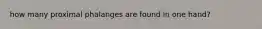 how many proximal phalanges are found in one hand?