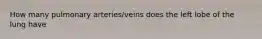 How many pulmonary arteries/veins does the left lobe of the lung have