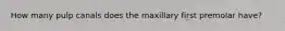How many pulp canals does the maxillary first premolar have?