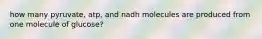 how many pyruvate, atp, and nadh molecules are produced from one molecule of glucose?