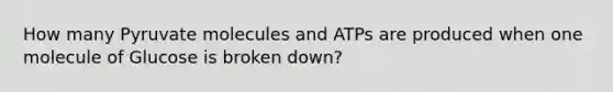 How many Pyruvate molecules and ATPs are produced when one molecule of Glucose is broken down?