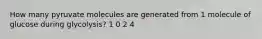 How many pyruvate molecules are generated from 1 molecule of glucose during glycolysis? 1 0 2 4