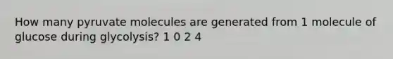 How many pyruvate molecules are generated from 1 molecule of glucose during glycolysis? 1 0 2 4