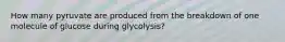 How many pyruvate are produced from the breakdown of one molecule of glucose during glycolysis?