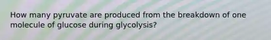 How many pyruvate are produced from the breakdown of one molecule of glucose during glycolysis?