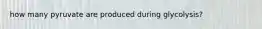 how many pyruvate are produced during glycolysis?