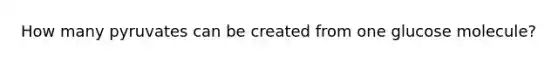 How many pyruvates can be created from one glucose molecule?