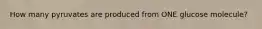 How many pyruvates are produced from ONE glucose molecule?