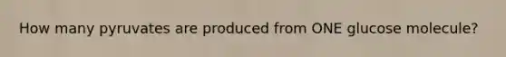 How many pyruvates are produced from ONE glucose molecule?