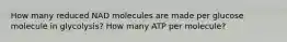 How many reduced NAD molecules are made per glucose molecule in glycolysis? How many ATP per molecule?