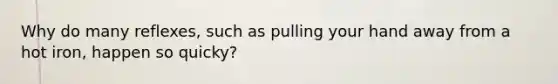 Why do many reflexes, such as pulling your hand away from a hot iron, happen so quicky?