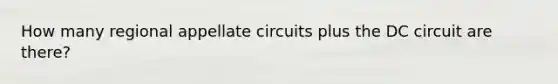How many regional appellate circuits plus the DC circuit are there?