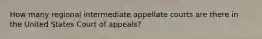 How many regional intermediate appellate courts are there in the United States Court of appeals?