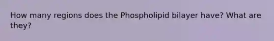 How many regions does the Phospholipid bilayer have? What are they?