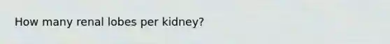 How many renal lobes per kidney?