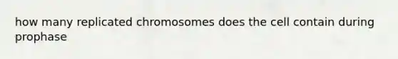 how many replicated chromosomes does the cell contain during prophase