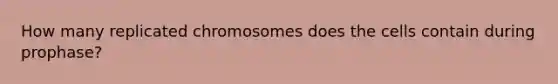 How many replicated chromosomes does the cells contain during prophase?