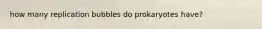 how many replication bubbles do prokaryotes have?