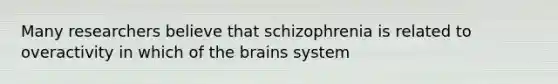 Many researchers believe that schizophrenia is related to overactivity in which of the brains system