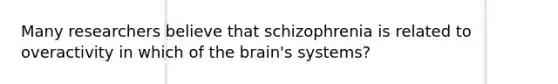 Many researchers believe that schizophrenia is related to overactivity in which of the brain's systems?