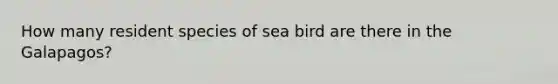 How many resident species of sea bird are there in the Galapagos?