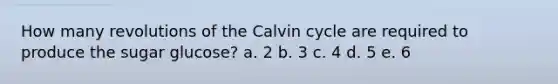 How many revolutions of the Calvin cycle are required to produce the sugar glucose? a. 2 b. 3 c. 4 d. 5 e. 6