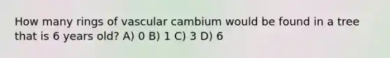 How many rings of vascular cambium would be found in a tree that is 6 years old? A) 0 B) 1 C) 3 D) 6