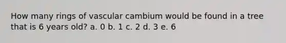 How many rings of vascular cambium would be found in a tree that is 6 years old? a. 0 b. 1 c. 2 d. 3 e. 6