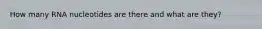 How many RNA nucleotides are there and what are they?