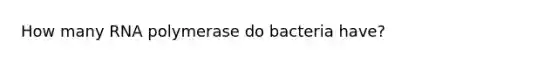 How many RNA polymerase do bacteria have?