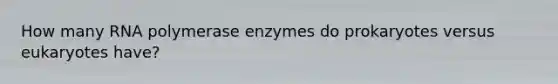 How many RNA polymerase enzymes do prokaryotes versus eukaryotes have?