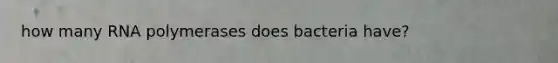 how many RNA polymerases does bacteria have?